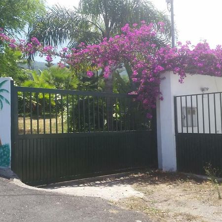 Finca Las Palmeras อิคอดเดลอสวินอส ภายนอก รูปภาพ