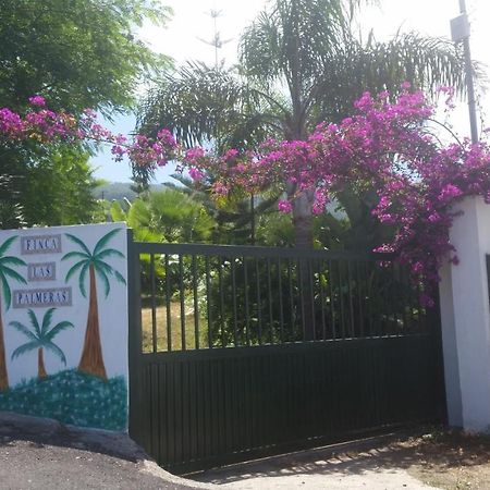 Finca Las Palmeras อิคอดเดลอสวินอส ภายนอก รูปภาพ