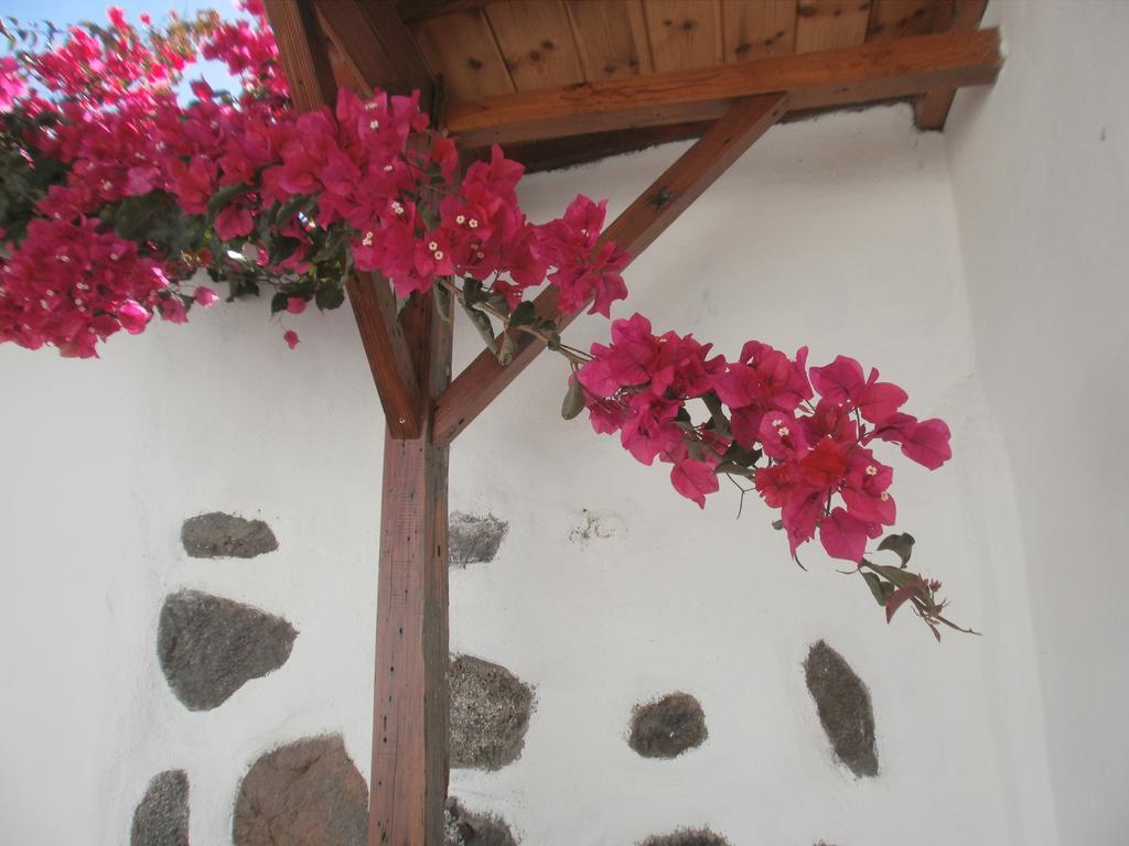 Finca Las Palmeras อิคอดเดลอสวินอส ภายนอก รูปภาพ
