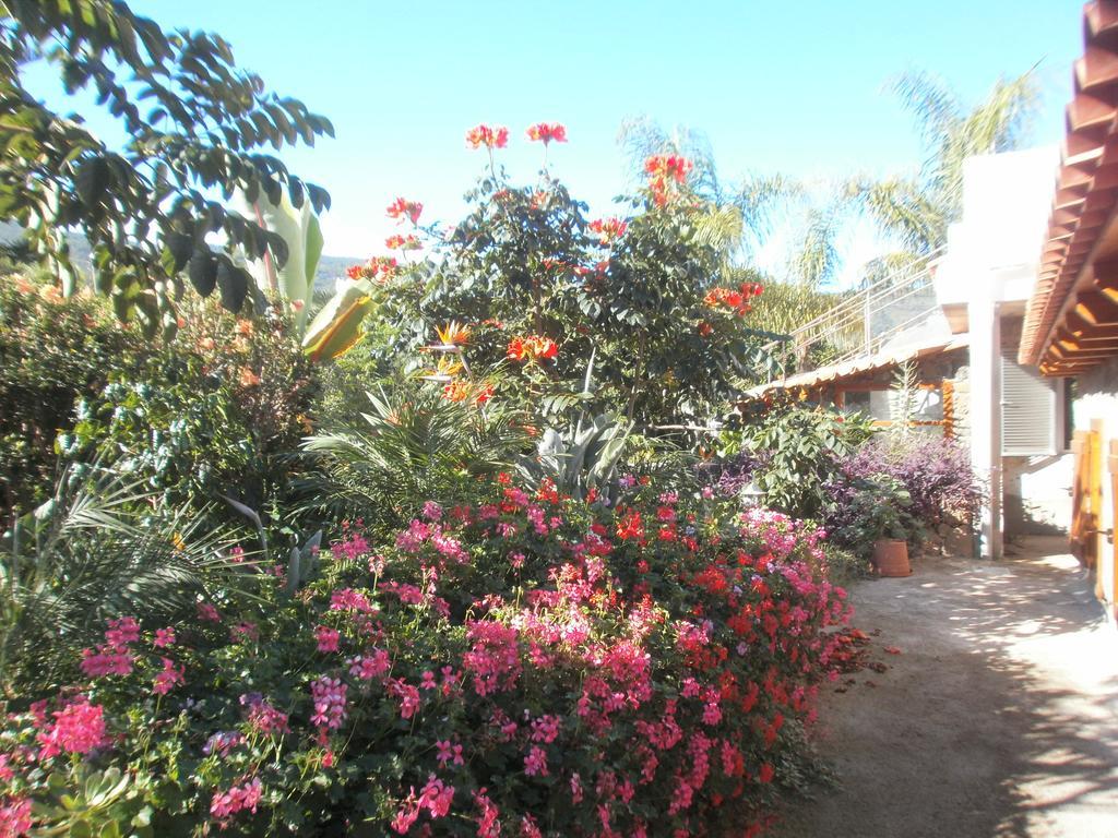 Finca Las Palmeras อิคอดเดลอสวินอส ห้อง รูปภาพ