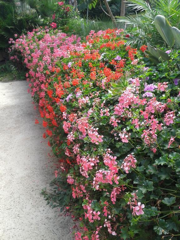 Finca Las Palmeras อิคอดเดลอสวินอส ห้อง รูปภาพ