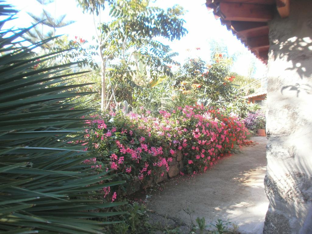 Finca Las Palmeras อิคอดเดลอสวินอส ภายนอก รูปภาพ