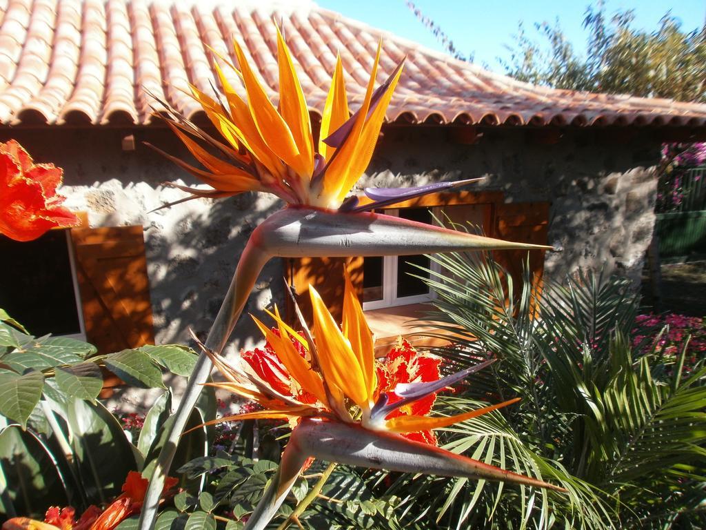 Finca Las Palmeras อิคอดเดลอสวินอส ภายนอก รูปภาพ