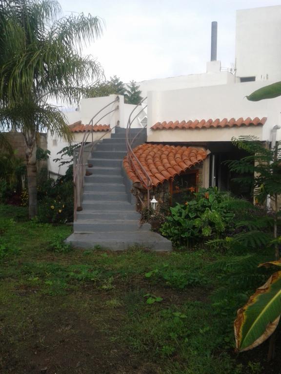 Finca Las Palmeras อิคอดเดลอสวินอส ห้อง รูปภาพ