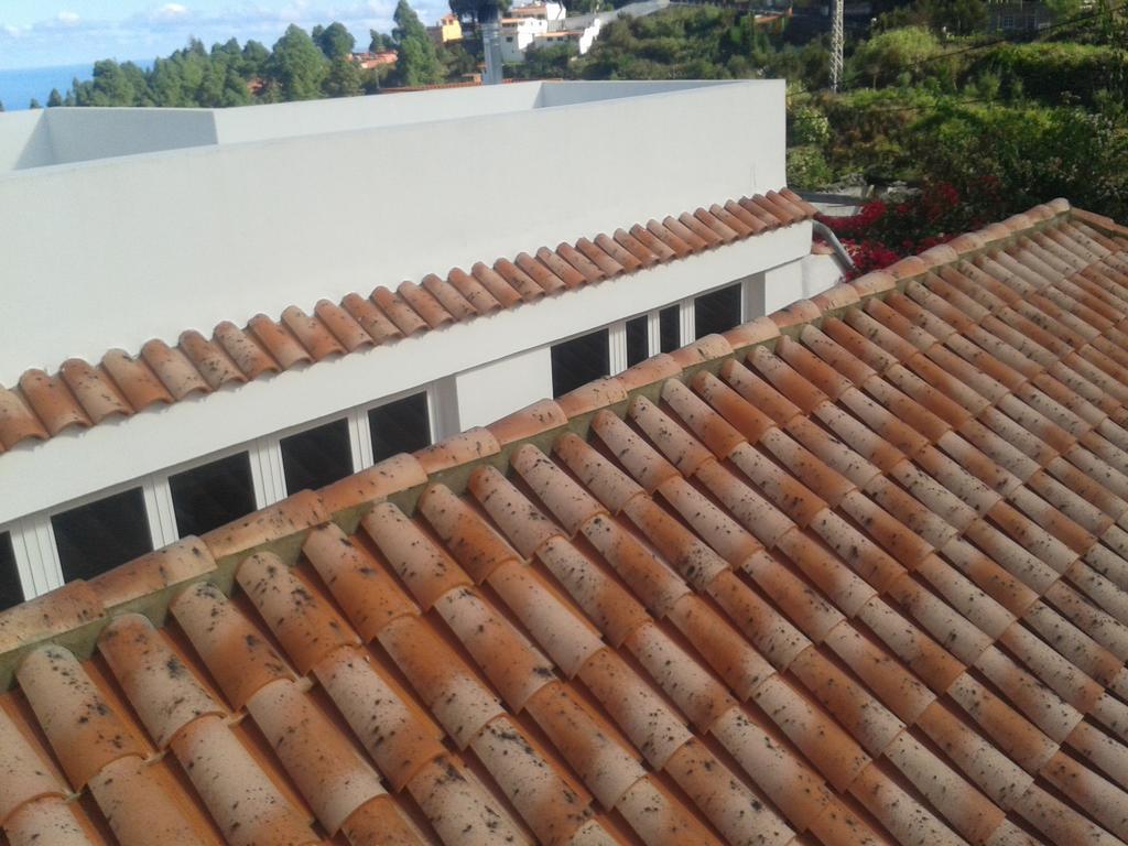 Finca Las Palmeras อิคอดเดลอสวินอส ห้อง รูปภาพ