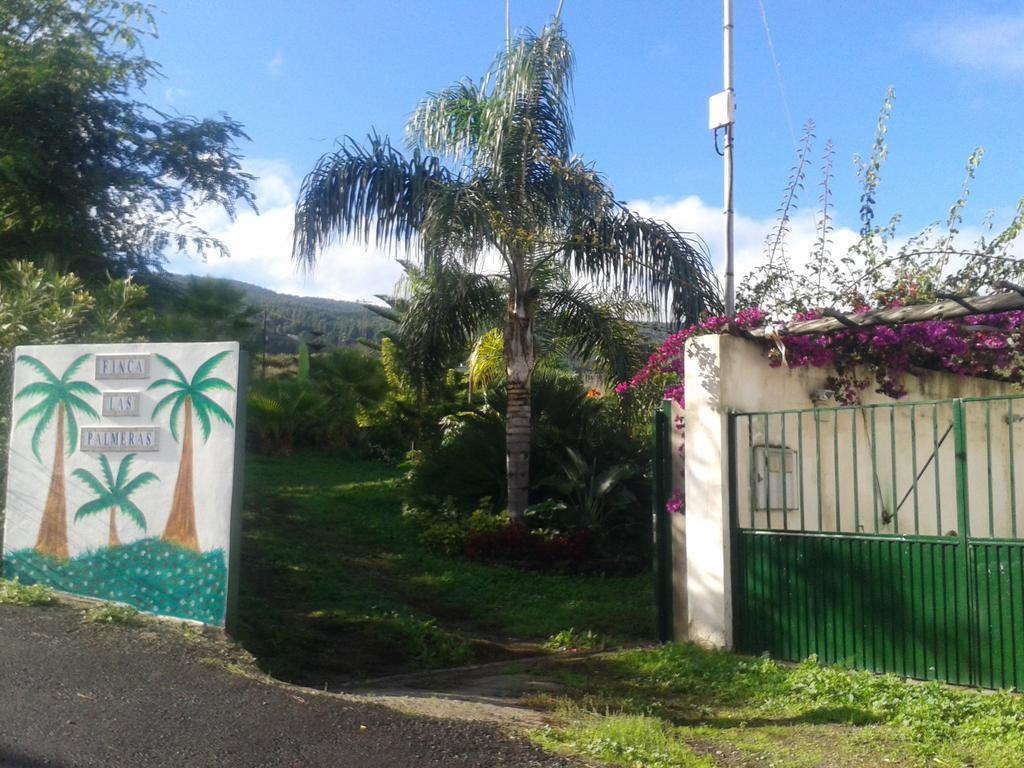 Finca Las Palmeras อิคอดเดลอสวินอส ภายนอก รูปภาพ