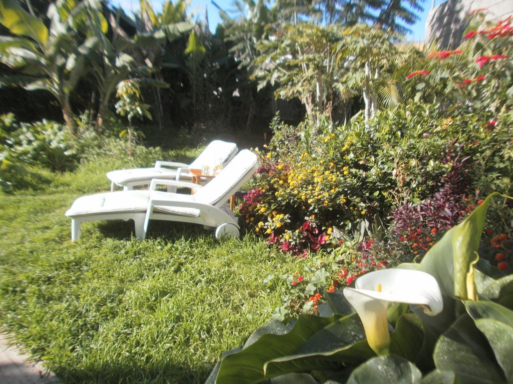 Finca Las Palmeras อิคอดเดลอสวินอส ห้อง รูปภาพ