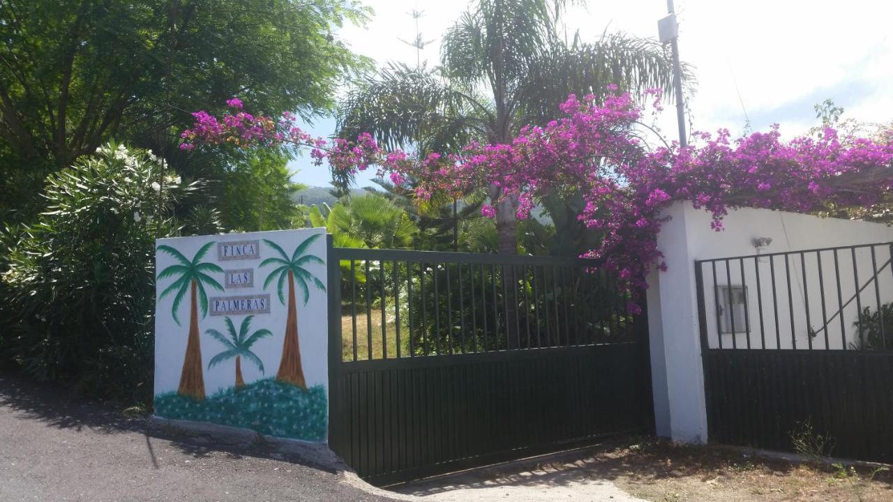 Finca Las Palmeras อิคอดเดลอสวินอส ภายนอก รูปภาพ